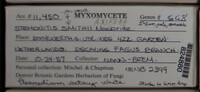 Image Associated With the Occurence